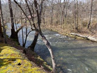 Gray's Place on Cosby Creek - Cosby - 7