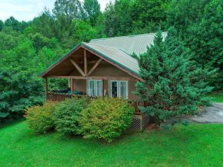 Smoky Mountain Getaway - Cosby - 9