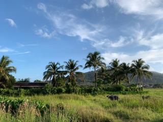 Mimi's Pine Meadow - Where it Nourishes Our Souls - Pulau Langkawi - 5