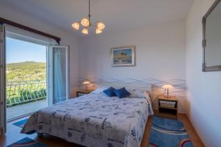 Apartments Saulan - One Bedroom Apartment with Balcony and Sea View Molunat - Molunat - 3