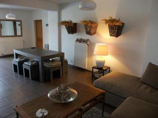 Gîte cosy et chaleureux au bord de la Saône - FR-1-583-381 - Port-sur-Saône - 4
