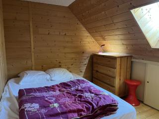 Appartement duplex 6/8 pers, centre station, Le Lioran - FR-1-787-124 - Laveissière - 7