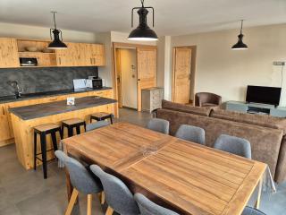 Appartement lumineux, neuf, à 250m des pistes, animaux admis - FR-1-811-14 - Les Deux Alpes - 0