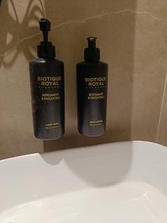 Silvotel By Bizzgrow Hotels - Indore - 3