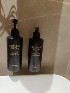 Silvotel By Bizzgrow Hotels - Indore - 6