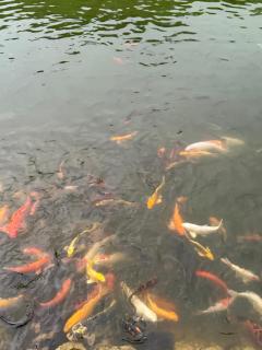 อีต่องโฮมสเตย์ - 9