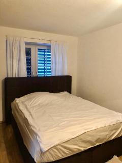 Zurich 2 rooms full lakeview, unique historic house share bath 40 m2 - 6