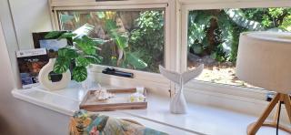 Coconut Cottage Christmas Island - Flying Fish Cove - 1