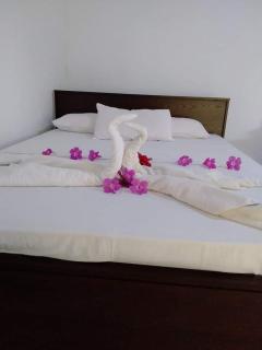 Green Garden Homestay - Giritale - 4