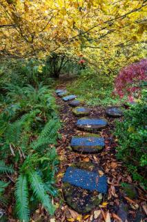 Stay Portland - Sandy Riverfront Mt Hood Cabin! 9 Queen Beds! - Rhododendron - 4