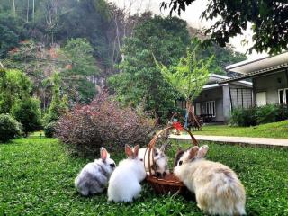V Valley Resort - Satun - 2