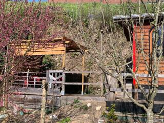 Les roulottes de Moulin Rouge - Audelange - 7