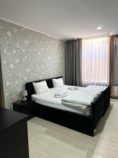 Hotel Alaverdi Palace - Tiflis - 2