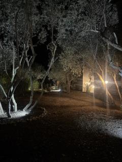 VILLA PAOLA - Anacapri - 4