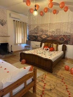 VILA DISHA - Tirana - 3