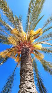 Proche mer charmant appartement - Roquebrune-Cap-Martin - 8