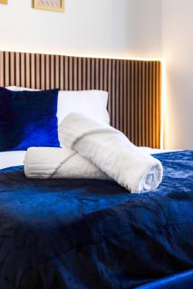 Luxe Comfort in Birminghams Jewellery Quarter - 4