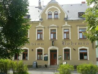 Pension Bohemia Horní Blatná - 0