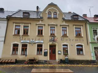 Pension Bohemia Horní Blatná - Horní Blatná - 2