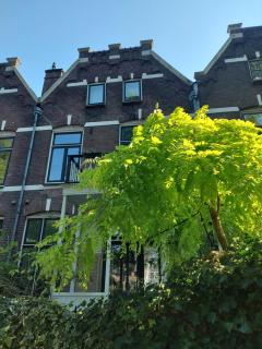 3rd floor Loft in Historical Dordrecht - Dordrecht - 8