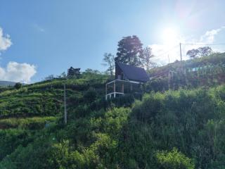 Solitary Green Cabins - 9