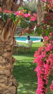 Maison d Hôte Ighrem - Goulmima - 8