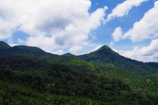 Meruthi Gudda Homestay in Hornadu - Kalasa - 7