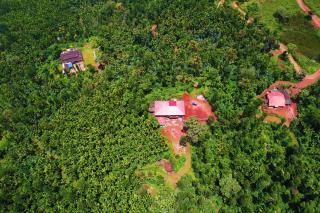 Meruthi Gudda Homestay in Hornadu - Kalasa - 2
