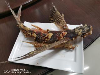 Lanyu Gulu Homestay - Lanyu - 1
