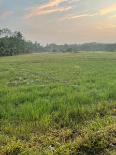 Bright Stay - Kamburugamuwa - 5
