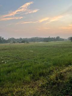 Bright Stay - Kamburugamuwa - 1