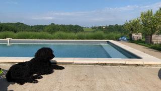 Ferme Redouline - 3 Bedroom, large private pool - Valades - 5