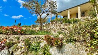 Villetta Niccolò - Gagliano del Capo - 8