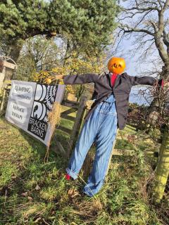 Bracken Barns Glamping & Massage - Minishant - 7
