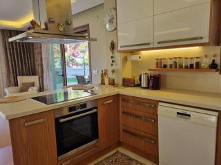 Detached Villa in Dalyan, Çeşme - Çeşme - 7