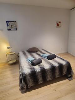 Le SAINT LEGER - Chambery centre - Chambéry - 6