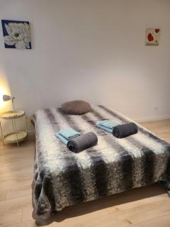 Le SAINT LEGER - Chambery centre - Chambéry - 5