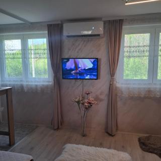 Sumska vila Zorica - Gornji Milanovac - 7
