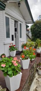 Zion White House - Nuwara Eliya - 6