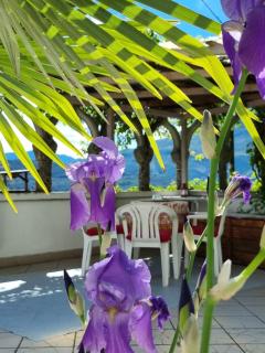 La casa delle fiabe - Riva del Garda - 8