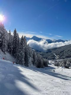 Resort central apartment ideal for up to 2 people - Les Carroz d'Araches - 1