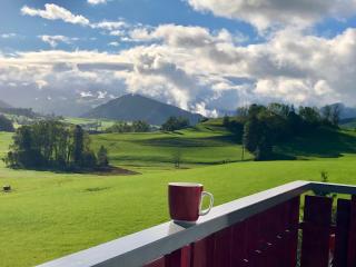Panoramablick - Stiefenhofen - 7