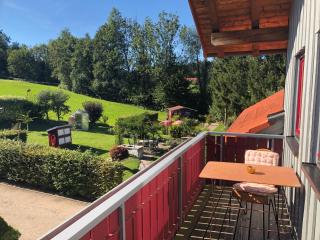 Panoramablick - Stiefenhofen - 8