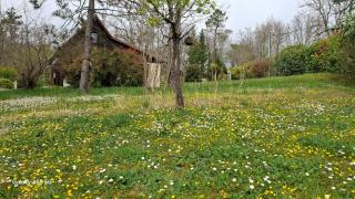 Gîte Les chalets du Castang - Valojoulx - 5
