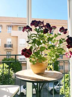 El balcón de la Luz - 6