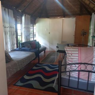 Robin's Thatch Studio- bush camp in the suburbs-sleeps 2 - Pinetown - 2