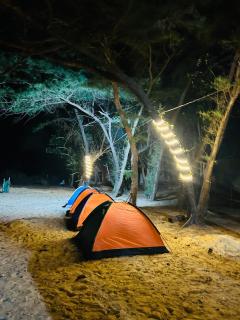 Blue Waves Beach Stay - Kumta - 4