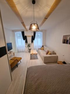 Urban Chic Living - Bratislava Old Town, Walk Everywhere - Bratislava - 5