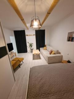 Urban Chic Living - Bratislava Old Town, Walk Everywhere - Bratislava - 4