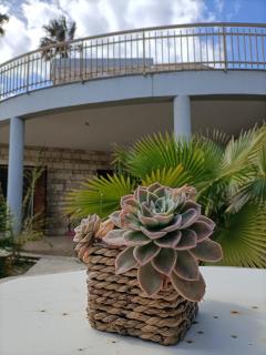 Villa Ginetta - - 6